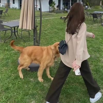 女性成长史